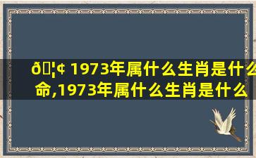 🦢 1973年属什么生肖是什么命,1973年属什么生肖是什么命人